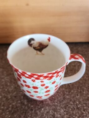 Fine Bone China, Ideal Home Range. Porcelain Coffee/Tea Mug. Germany